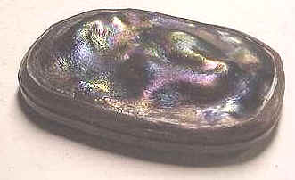 fakepaperweight.bmp (201248 bytes)